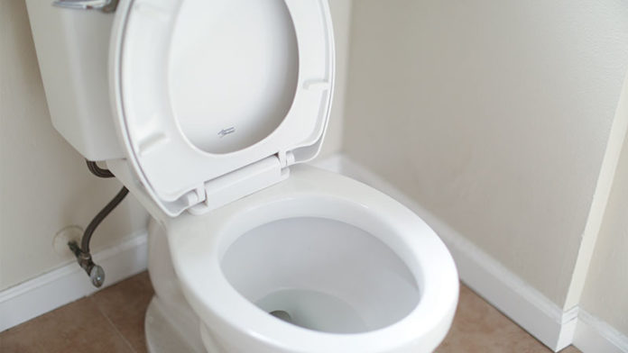 toilet