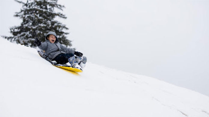 sled